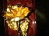 IMG-20120214-00310.jpg