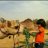 الحوراء