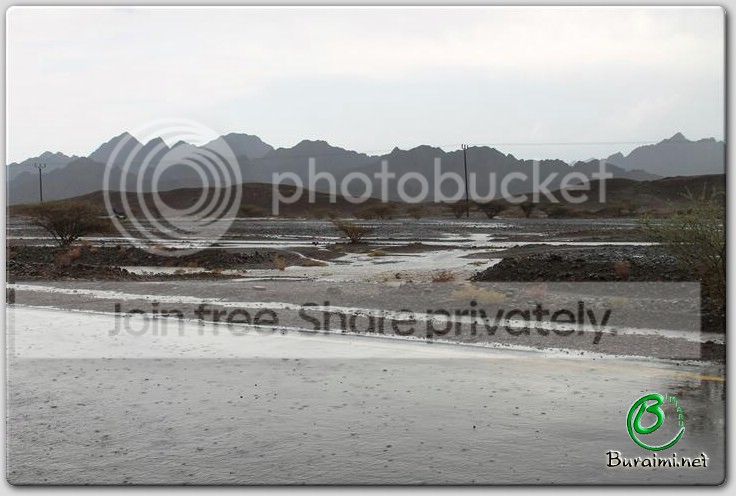 IMG_9273Small_zps8502b7f5.jpg