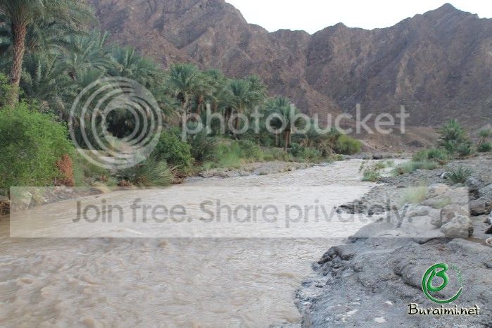 IMG_4631_zps402c5602.jpg