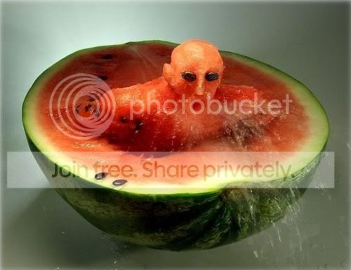 food003.jpg