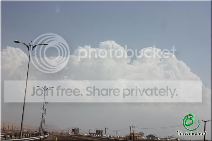 IMG_0175Small_zps00c7003f.jpg