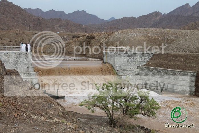 IMG_5365_zps6c95edda.jpg