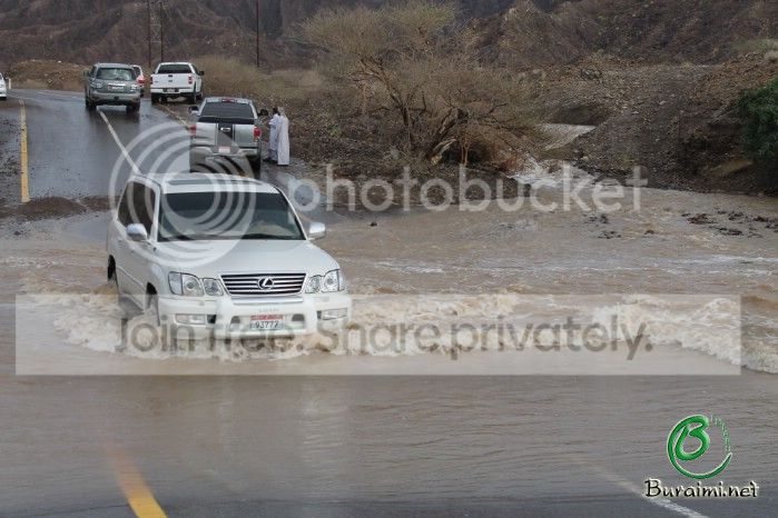 IMG_5302_zps897e82cf.jpg