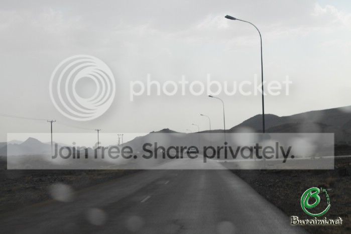 IMG_4308_zpsf3ccd74d.jpg