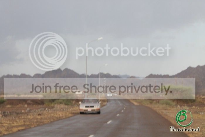 IMG_4303_zps5d3eb195.jpg