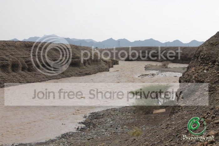 IMG_5367_zpsf35c3e29.jpg