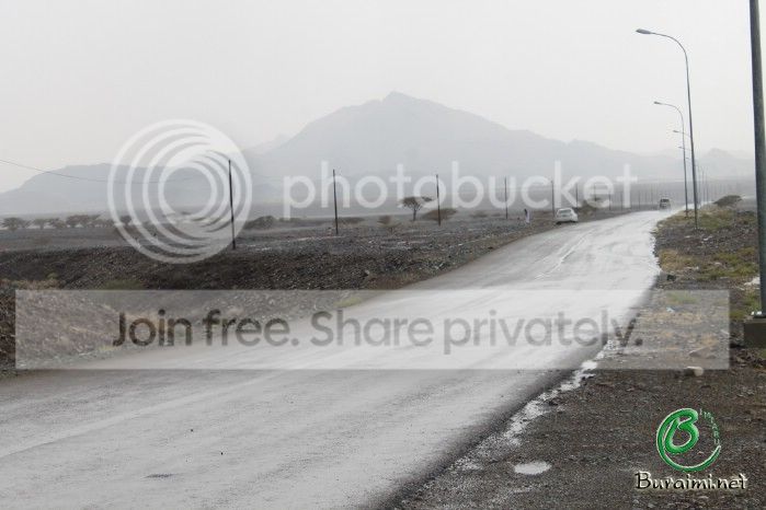 IMG_4865_zps6c9f8a98.jpg