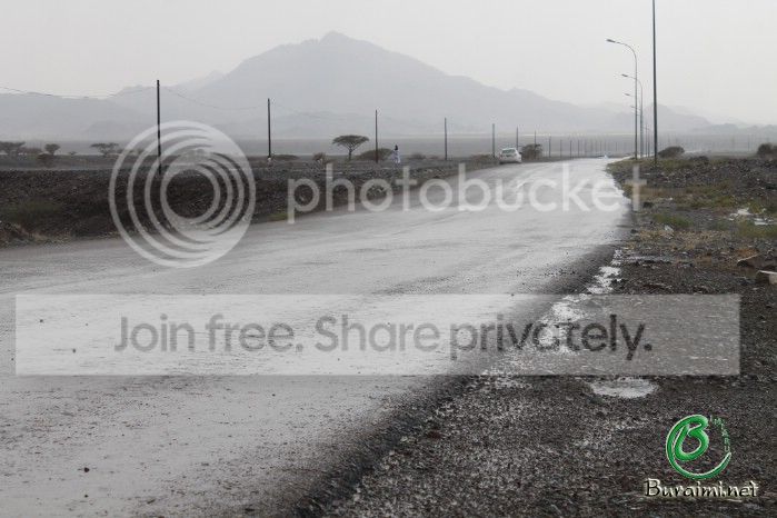 IMG_4874_zps2facb540.jpg