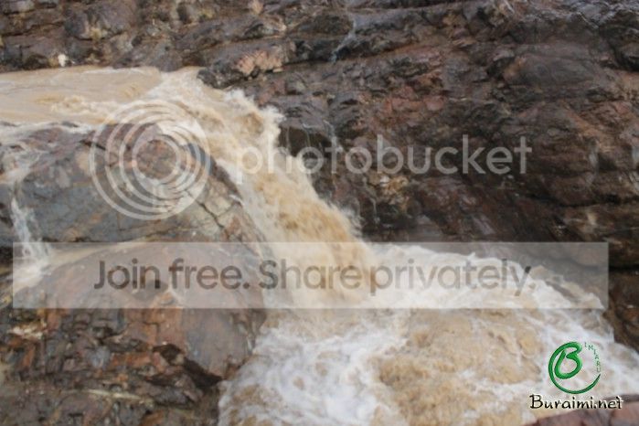 IMG_5248_zps17cb1e15.jpg