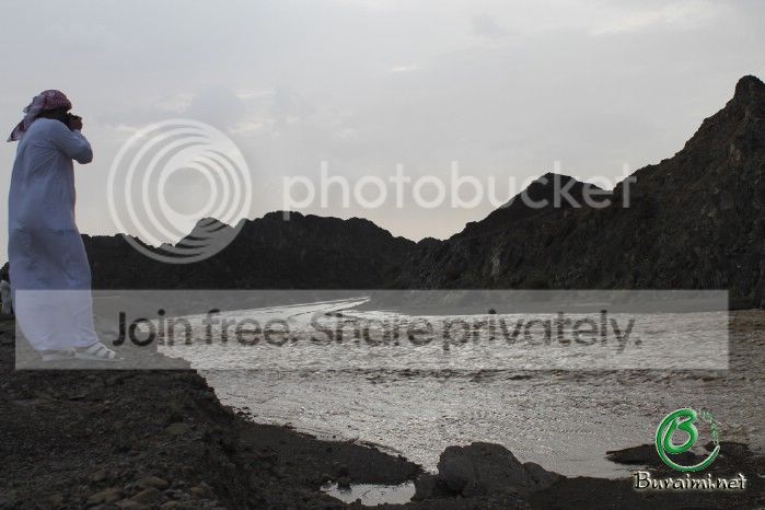 IMG_4522_zps8536badf.jpg
