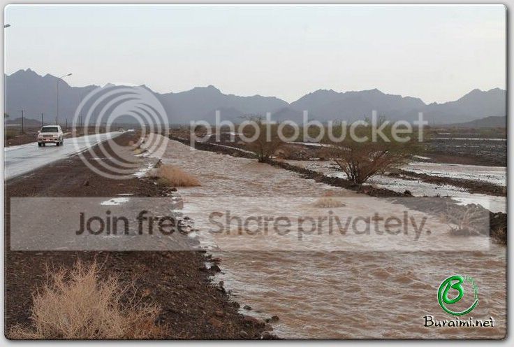 IMG_9292Small_zpsaf4cda7a.jpg