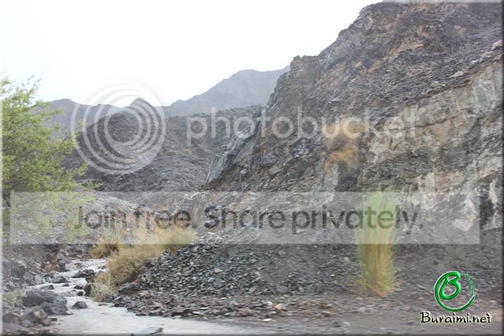 IMG_0194Small_zps332b0efd.jpg