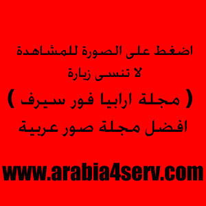 i53372_24261.png