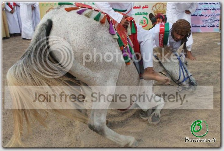IMG_1767Small_zps235194bf.jpg