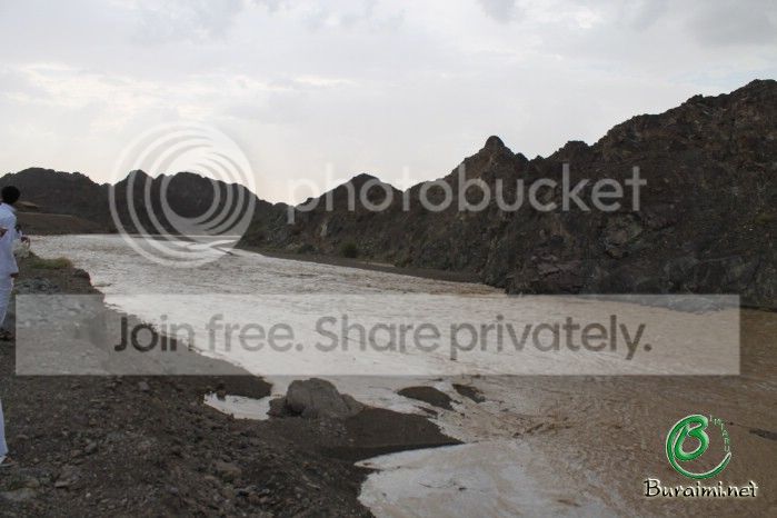 IMG_4508_zps9559fbe2.jpg