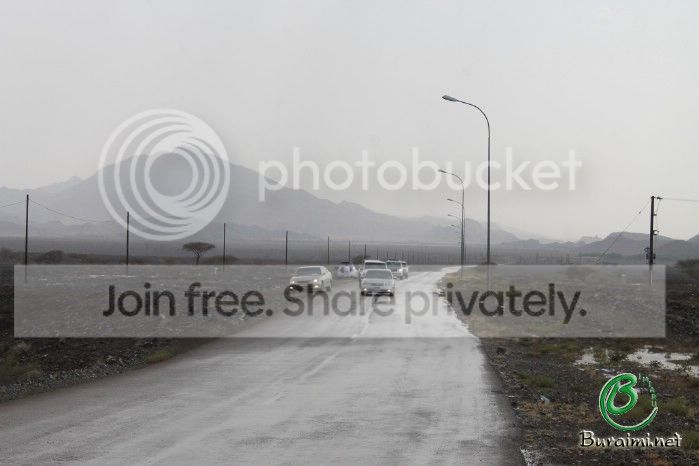 IMG_4905_zps378abaed.jpg