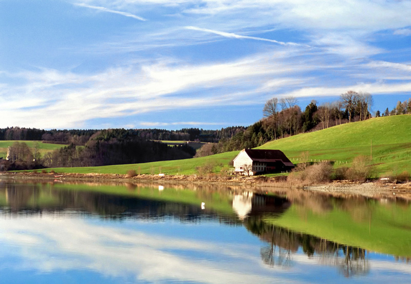 lake-gruyere-cheese.jpg