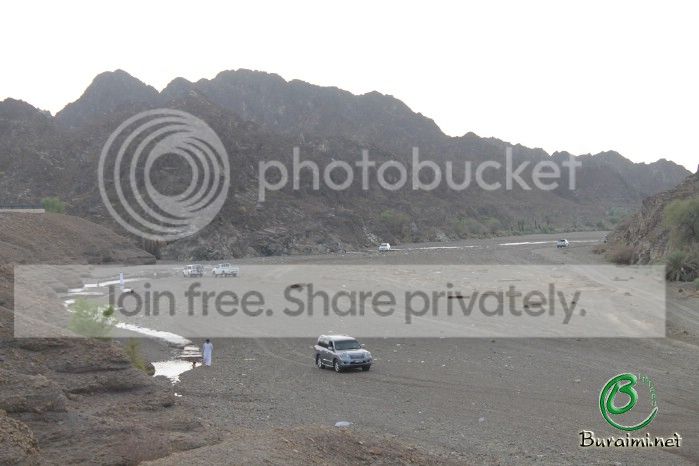 IMG_5398_zps61efb7cd.jpg