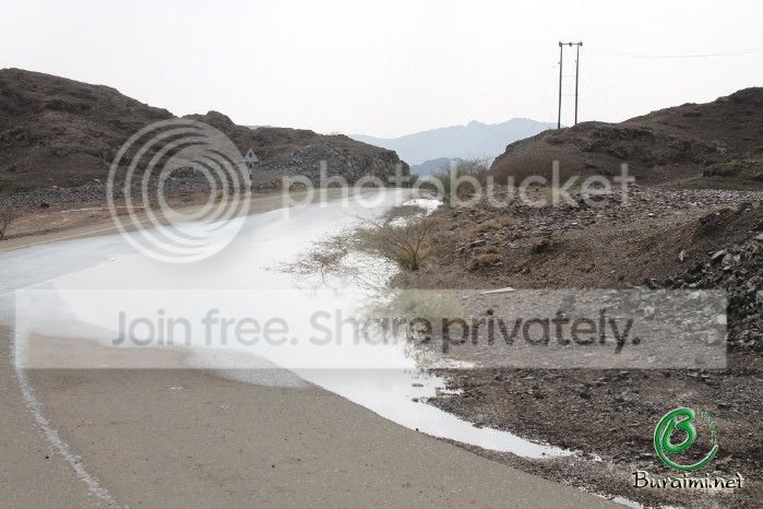 IMG_5379_zps457d00b4.jpg