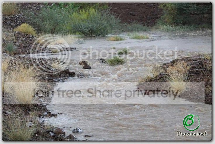 IMG_9219Small_zpsf0e8a2a2.jpg
