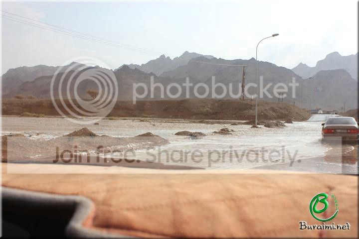 IMG_0235Small_zps54d752ef.jpg