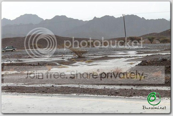 IMG_9272Small_zps3efd6caf.jpg