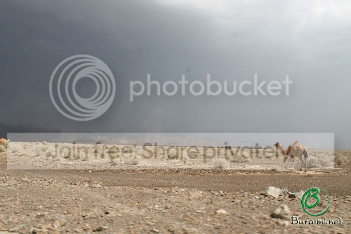 IMG_4825_zps952b899a.jpg