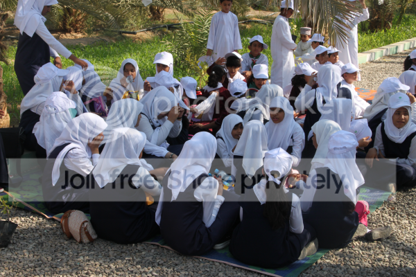 IMG_0028-1.png