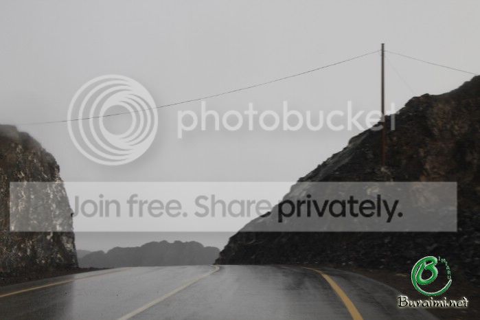 IMG_4340_zps4cbe86f3.jpg