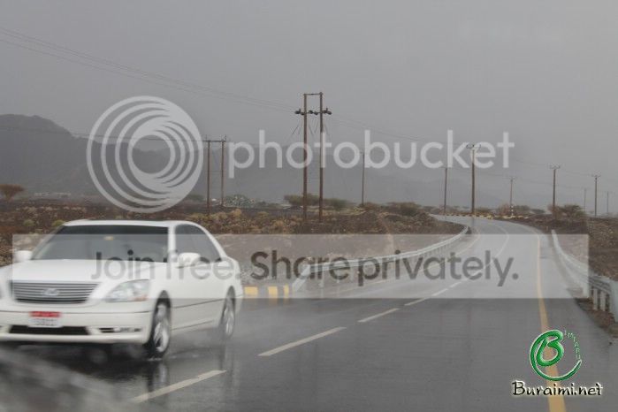 IMG_5173_zps1fe81194.jpg