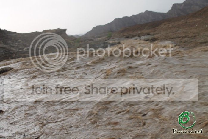 IMG_4398_zps9d94de36.jpg