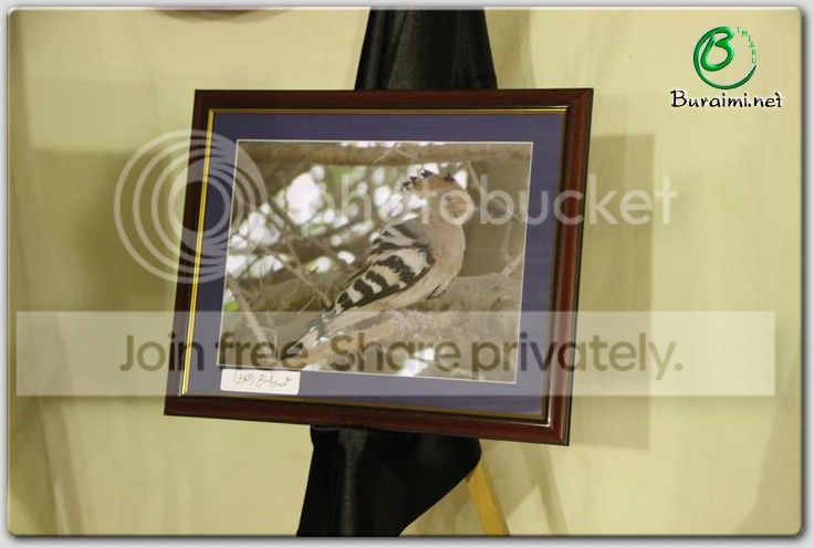 IMG_0521Small_zpse5bcad45.jpg