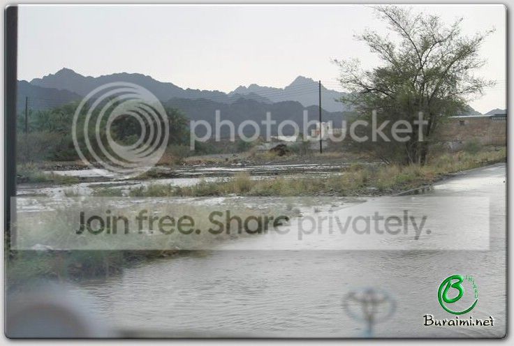 IMG_9259Small_zps2277fbfa.jpg