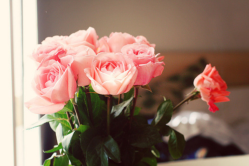 tumblr_ll3q9i4gH71qc4dbgo1_500.jpg