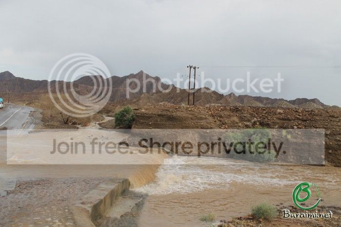 IMG_5319_zps50f67fdc.jpg