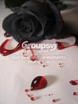 blackrose.jpg