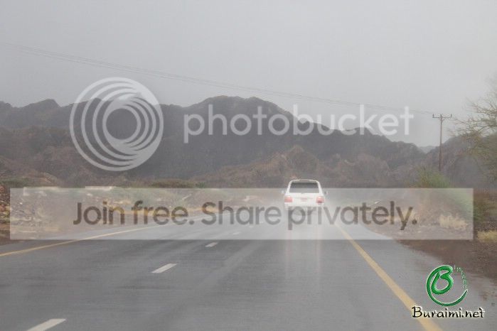 IMG_5188_zps1e36d2c2.jpg