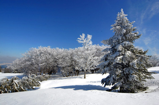 winter-in-jura.jpg