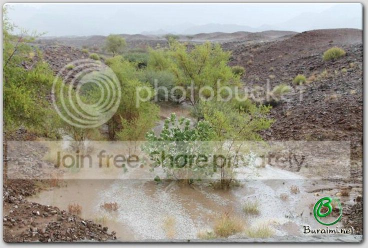 IMG_9206Small_zps088a5c0a.jpg